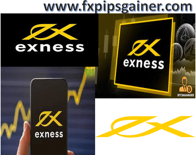 All You Need to Know About Exness Fx Broker All You Need to Know About Exness Fx Broker