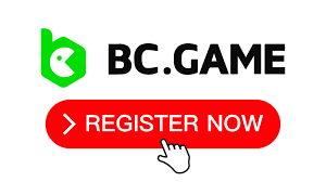 Exploring BC.Game Bonus Types Maximize Your Gaming Experience