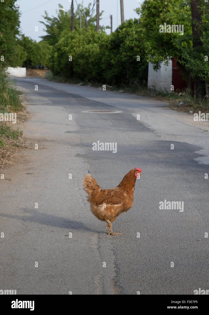 Descubre el Exclusivo Juego de Azar de Chicken Road en España Oficial - overview