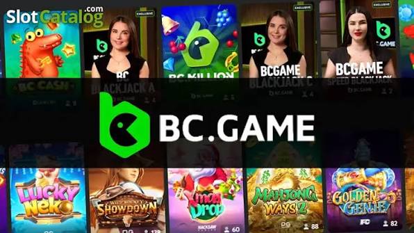 Understanding the BC.Game Privacy Policy Your Data, Your Rights