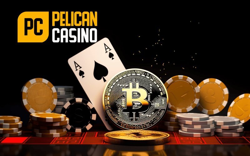 Best pelican casino bonus in Czech Republic Best pelican casino bonus in Czech Republic
